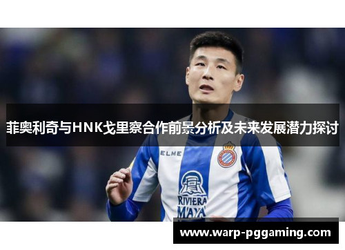 菲奥利奇与HNK戈里察合作前景分析及未来发展潜力探讨